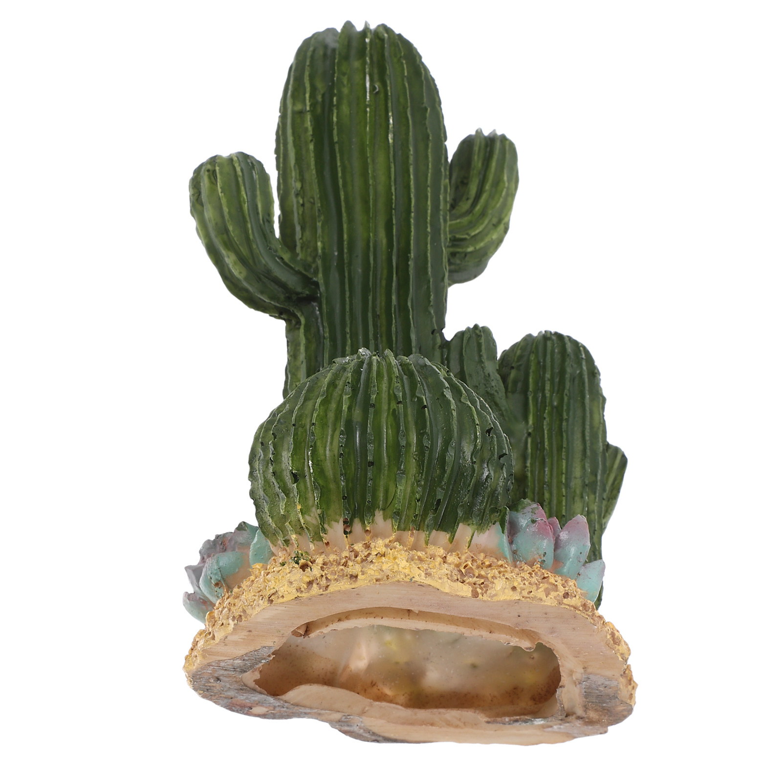 인공 선인장 식물 대형 다육 식물 사막 장식품, 파충류 - Terrarium Moss Art 리뷰 및 가격